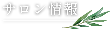 サロン情報
