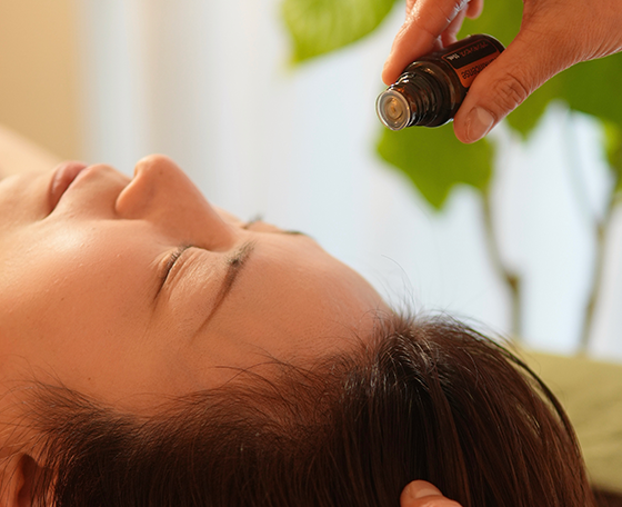 Honeybee ysalonについて